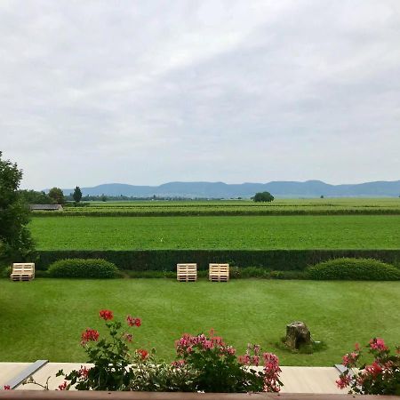 Gaestehaus Vinetum Altdorf  ภายนอก รูปภาพ
